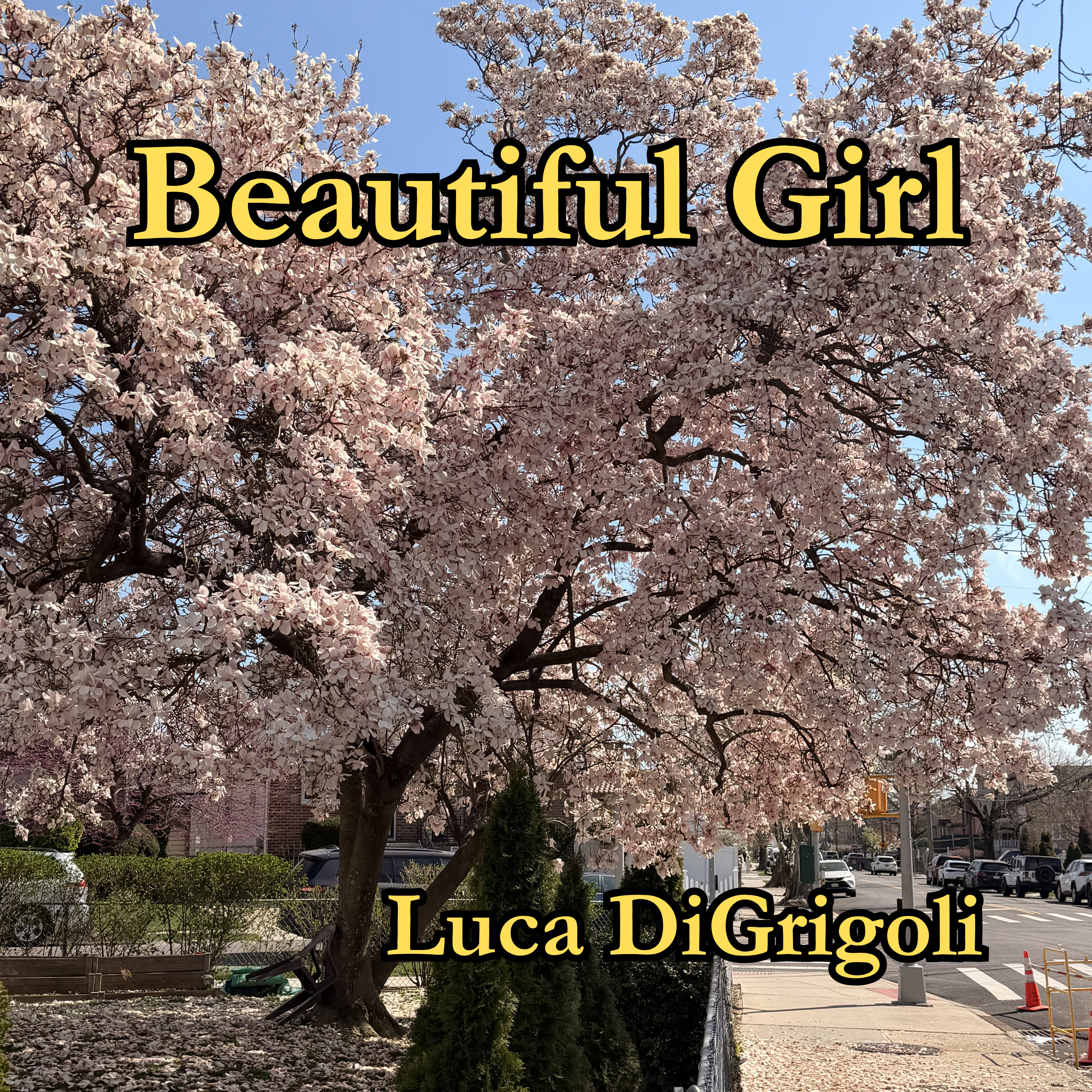 Beautiful Girl cover art