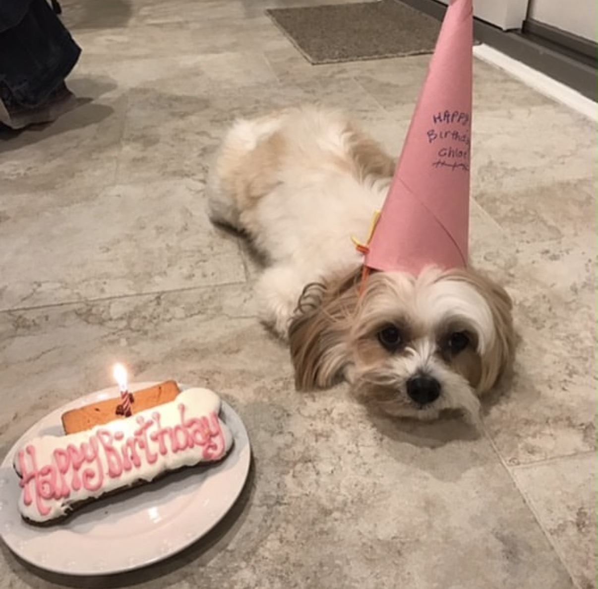 Chloe birthday