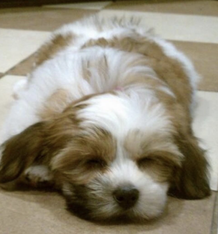 Chloe as a baby