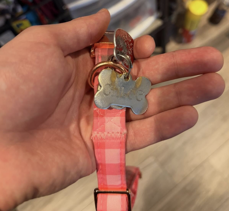 Chloe's Collar